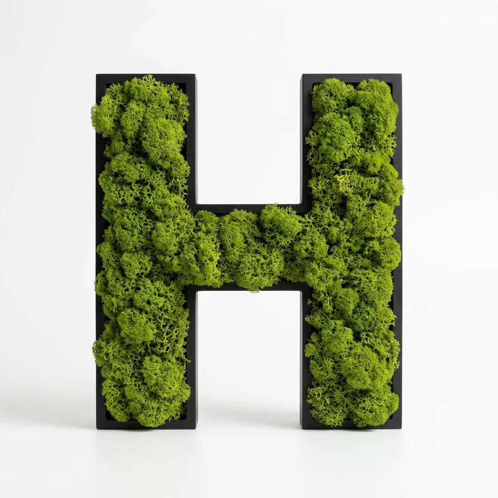 Moos-Buchstabe H