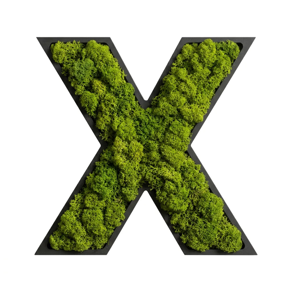 Moos-Buchstabe X