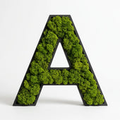 Moos-Buchstabe A