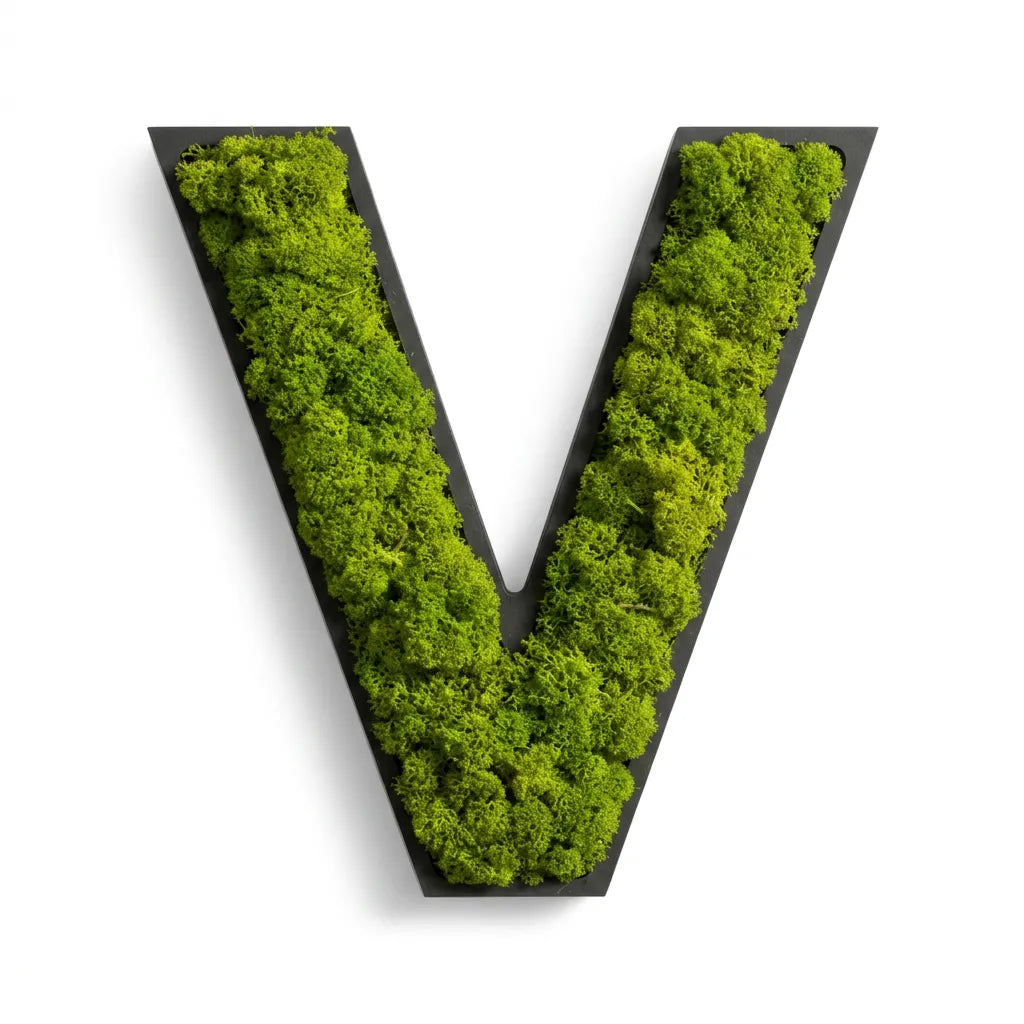Moos-Buchstabe V